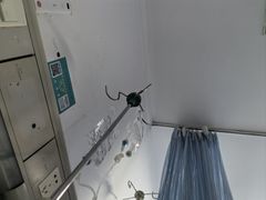 -重庆医科大学附属第一医院(本部)