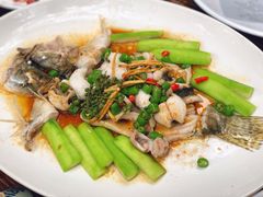 鲜花椒蒸桂花鲈-猪肉婆私房菜(容桂总店)