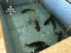 -宁记柴火灶台鱼·全鱼宴(龙源小区店)