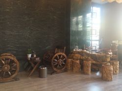 -脉道美容养生会所