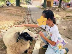 -神户市立六甲山牧场