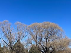 -颐和园