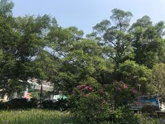 -太和古洞