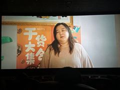 -新影联·华谊兄弟影院(望京店)
