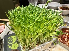 -海底捞火锅(宇飞大厦店)