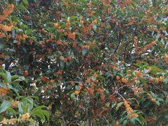 -苏州独墅湖书香世家酒店