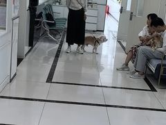 -派美特宠物医院·核磁CT·骨科肿瘤·疑难转诊(沈农禾丰店)