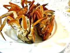-莲花公园煎蟹(总店)