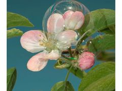 -清真全盛斋传统糕点(西羊市店)