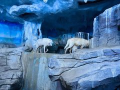 -多彩贵州城极地海洋世界