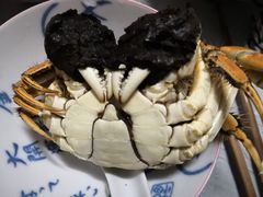 -丫丫蟹庄·苏式园林农家乐·阳澄湖大闸蟹(阳澄湖莲花岛店)