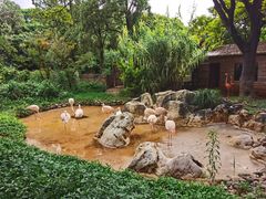 -昆明动物园