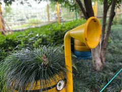 -杭州少年儿童公园