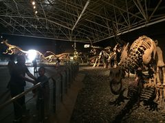 -世界恐龙谷景区