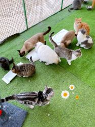 -萌宠亲子动物乐园(槐房万达店)