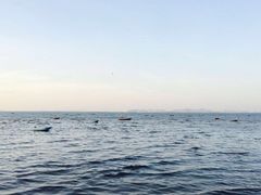 -兰坡海鲜市场