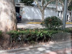 -夏朵花园(复兴西路店)