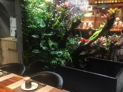 -森味薪火烧•烧鸟居酒屋•日本料理(望京店)