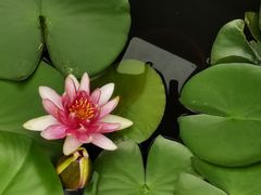 -白鹭湾湿地公园