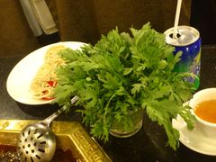 DSC_0117-蜀九香火锅(彩虹店)