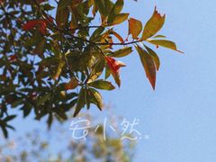 -良渚古城遗址公园