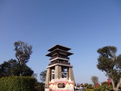 -大湾区中央湿地公园