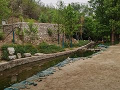 -白水寺森林公园