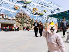 -华夏文旅海洋公园