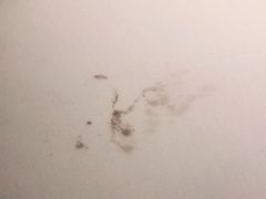 -三亚海棠湾万丽度假酒店