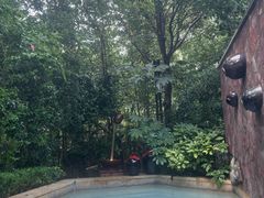 -天目湖涵田半山温泉