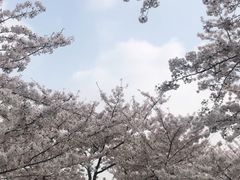 -上海辰山植物园