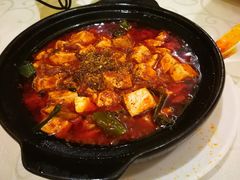 -陈麻婆豆腐总店