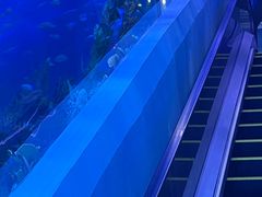 -广州海洋馆