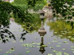 -嘉定紫藤园