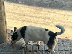 -璞真扎染博物馆