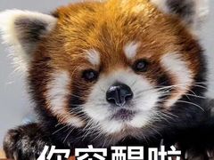 -未来战场·大空间VR·轰趴·团建(常营店)