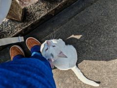 -草庵摩尼教遗址公园