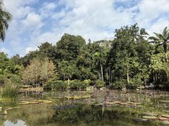 -中国科学院西双版纳热带植物园