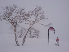 -二世古滑雪场