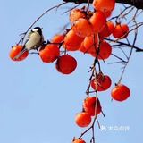 今天上班随意拍的！发现现在人还是不多嘛！