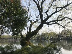 -西湖游船