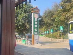 -野象谷景区