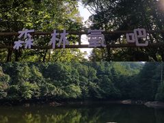 -洛阳白云山景区