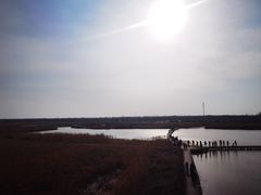 -盐城丹顶鹤湿地生态旅游区