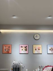 -洗脸猫·洗脸吧