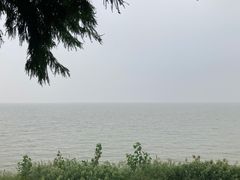 -泗洪洪泽湖湿地景区