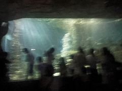 -嘉兴海底世界