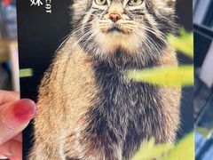 -青藏高原野生动物园