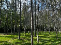 -秦皇岛野生动物园