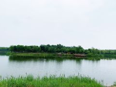 -东郊湿地公园